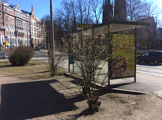 Lasinen pysäkki puiston reunalla kahden istutuksen kehystämänä.